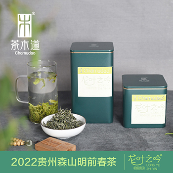 龙叶之吟（二级茶）——明前毛尖【茶木道-贵州森山绿茶】